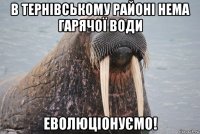 в тернівському районі нема гарячої води еволюціонуємо!