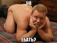 чо ебать?