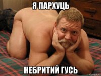 я пархуць небритий гусь