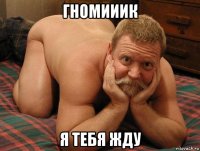 гномииик я тебя жду