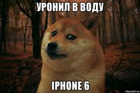 уронил в воду iphone 6