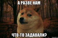 а разве нам что-то задавали?