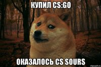 купил cs:go оказалось cs sours