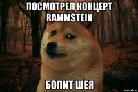 посмотрел концерт rammstein болит шея