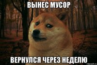 вынес мусор вернулся через неделю