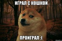 играл с кошкой проиграл :(