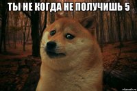 ты не когда не получишь 5 