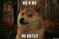 но я же не хотел