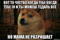 вот то чуство когда тебе когда тебе 18 и ты можеш тедаль всё но мама не разришает