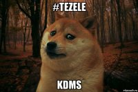 #tezele kdms