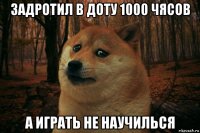 задротил в доту 1000 чясов а играть не научилься