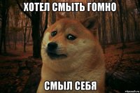 хотел смыть гомно смыл себя