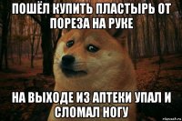 пошёл купить пластырь от пореза на руке на выходе из аптеки упал и сломал ногу