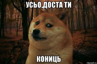 усьо,доста ти кониць