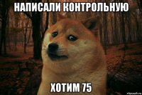 написали контрольную хотим 75