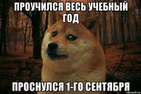 проучился весь учебный год проснулся 1-го сентября