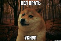 сел срать уснул