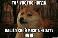 то чувство когда нашёл свой мозг а не хату на нг