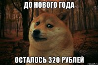 до нового года осталось 320 рублей
