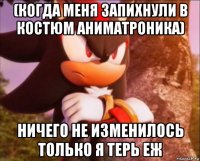 (когда меня запихнули в костюм аниматроника) ничего не изменилось только я терь еж