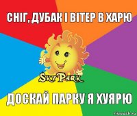 Сніг, дубак і вітер в харю доскай парку я хуярю