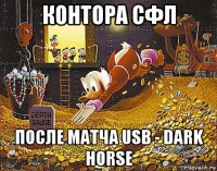 контора сфл после матча usb - dark horse