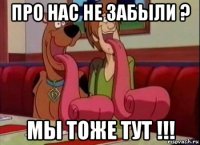 про нас не забыли ? мы тоже тут !!!