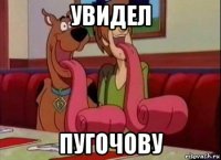 увидел пугочову