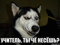 Учитель, ты чё несёшь?