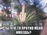  ты что-то против меня имеешь?