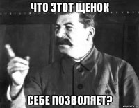 что этот щенок себе позволяет?