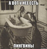 а вот у нее есть пингвины