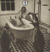 gf 