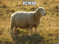 ксюха 