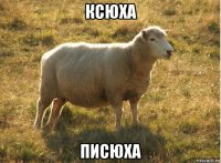 ксюха писюха