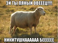 эй ты пяный овееец!!!! никитушкаааааа бееееее