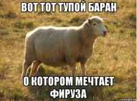 вот тот тупой баран о котором мечтает фируза