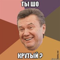 ты шо крутый ?