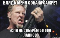 блядь меня собака сажрёт если не соберём 50 000 лайков