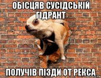 обісцяв сусідській гідрант получів пізди от рекса