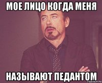 мое лицо когда меня называют педантом