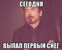 сегодня выпал первый снег