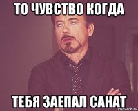 то чувство когда тебя заепал санат