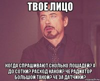 твое лицо когда спрашивают сколько лошадей? а до сотки? расход какой? че радиатор большой такой? че за датчики?