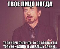 твое лицо когда твой йорк съел что-то со стола и ты только ходишь и убираешь за ним...