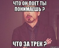 что он поет ты понимаешь ? что за трек ?