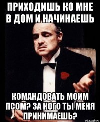 приходишь ко мне в дом и начинаешь командовать моим псом? за кого ты меня принимаешь?