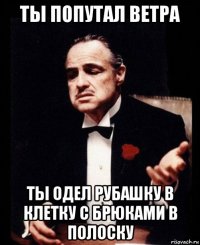 ты попутал ветра ты одел рубашку в клетку с брюками в полоску