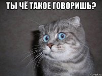 ты чё такое говоришь? 