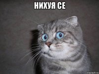 нихуя се 